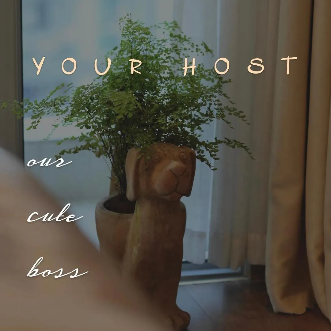 Jj Apartment Vinhome Landmark 81 Ho Chi Minh City